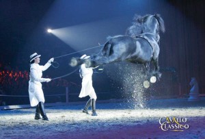 CC_Bilder09